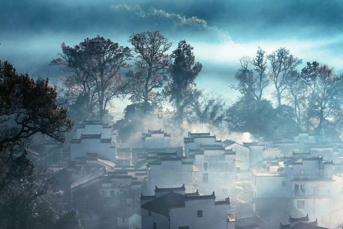 僵尸女友爱爬树